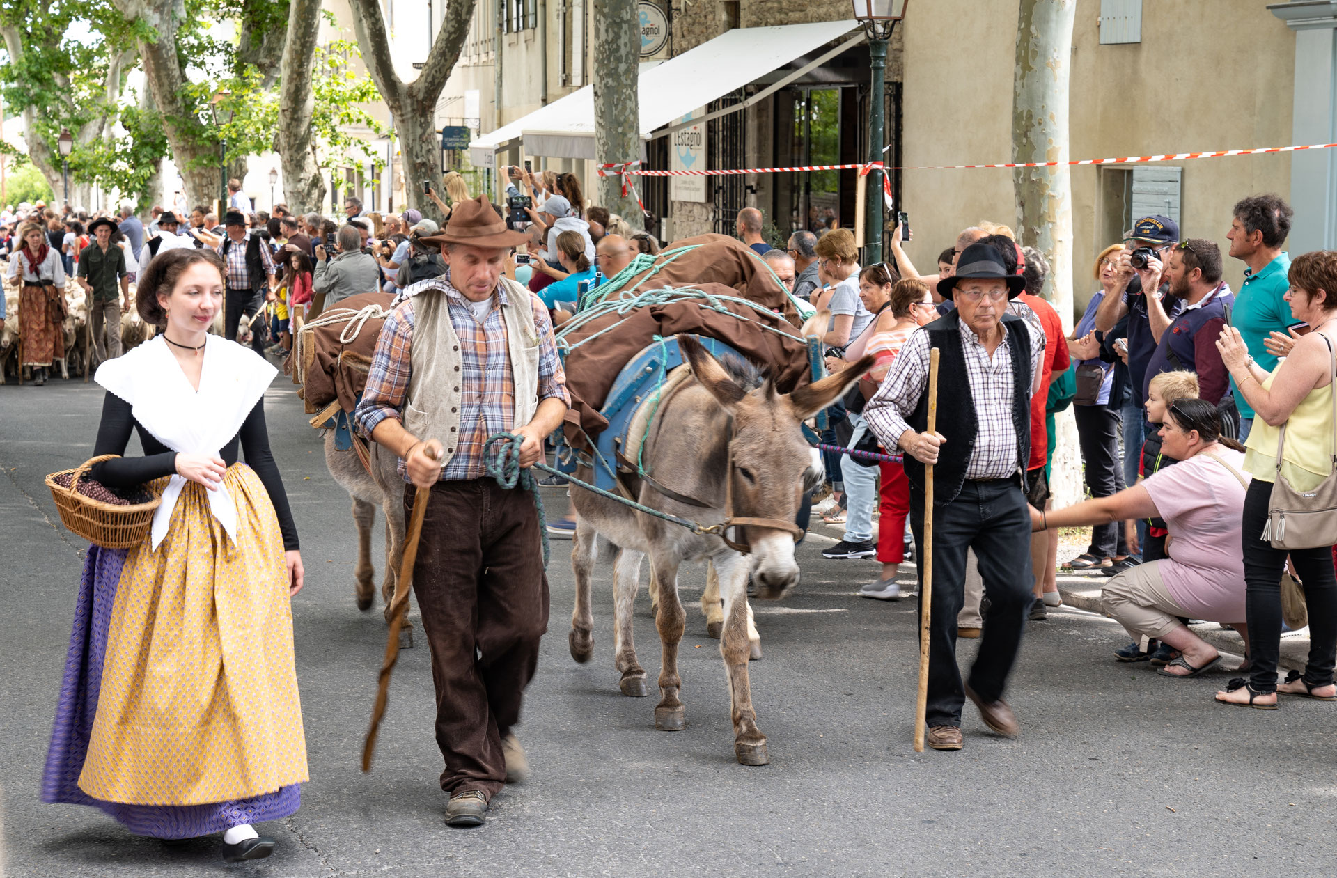 SaintRémydeProvence Féte de la Transhumance Sehenswürdigkeiten