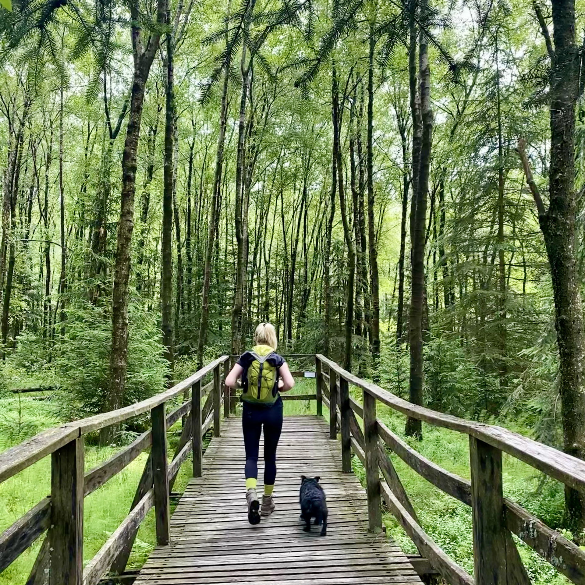 ROTHAARGEBIRGE infobevanderts Webseite!