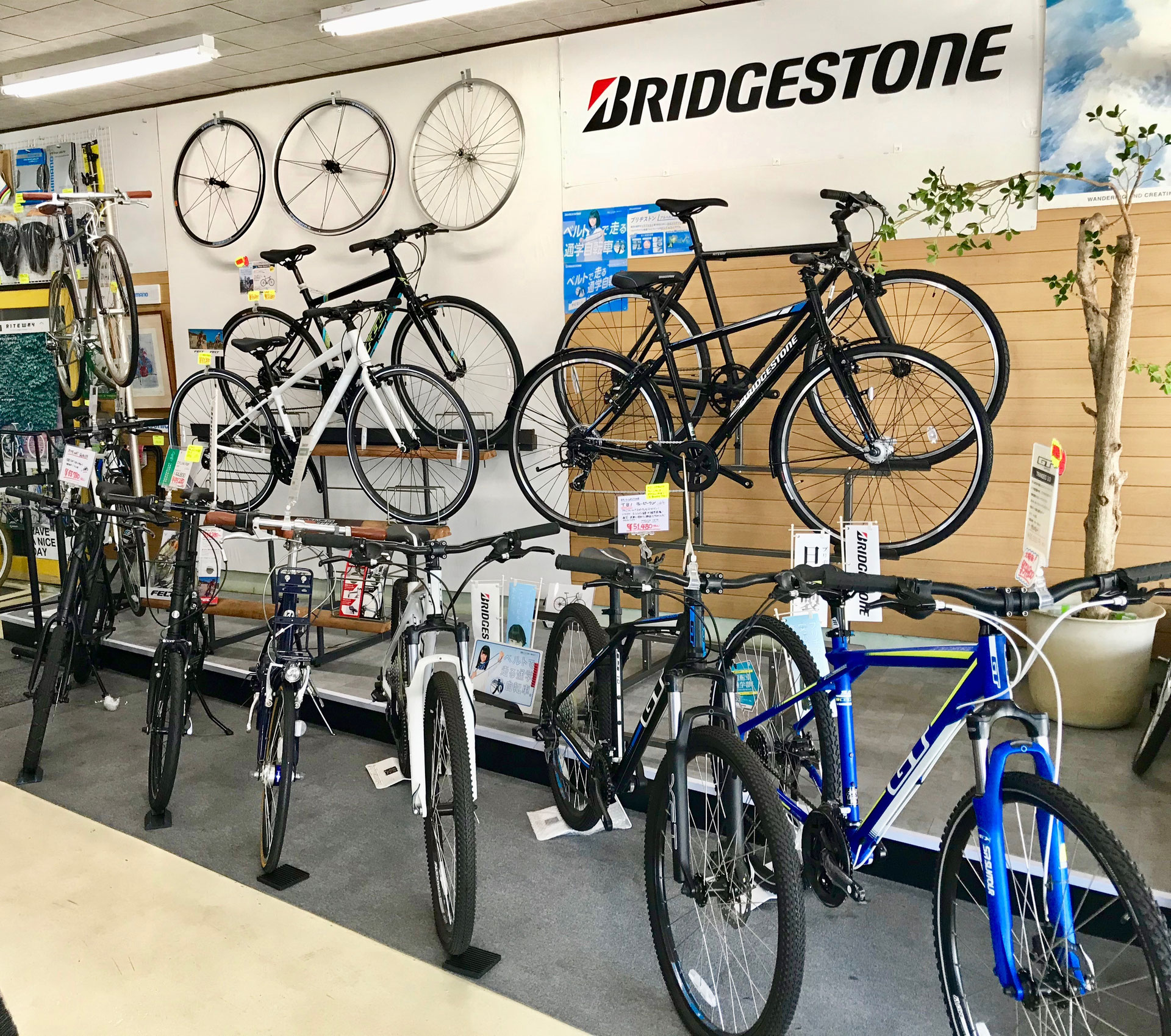 店舗紹介 - TATENOCYCLE 富山県 射水市 自転車屋