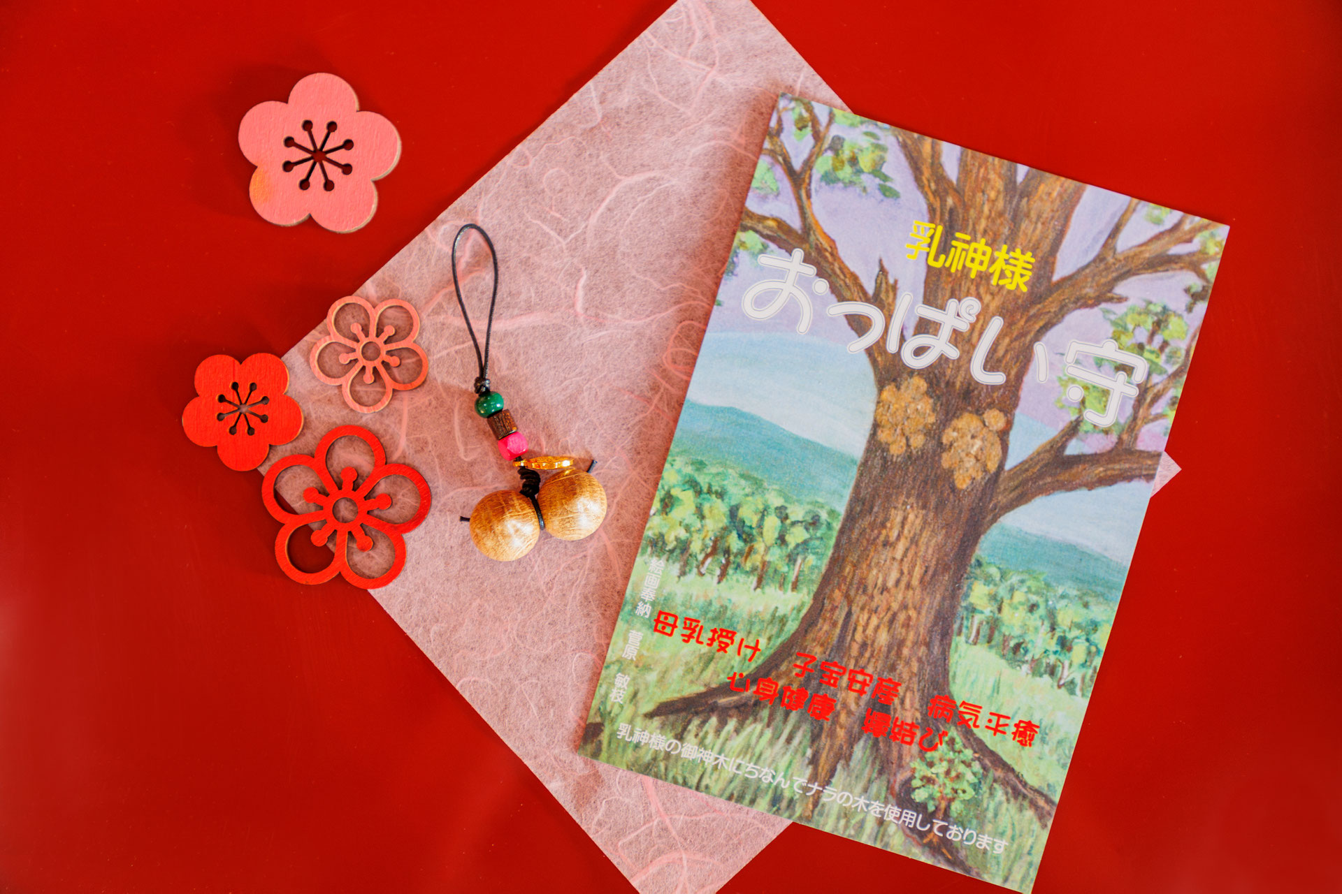 完売　　幸運のお守り＊縁起木【天然野生の森の柊さん/ひいらぎ】インドの鉢植え/大 完売 幸運のお守り＊縁起木【天然野生の森の柊さん/ひいらぎ】インド