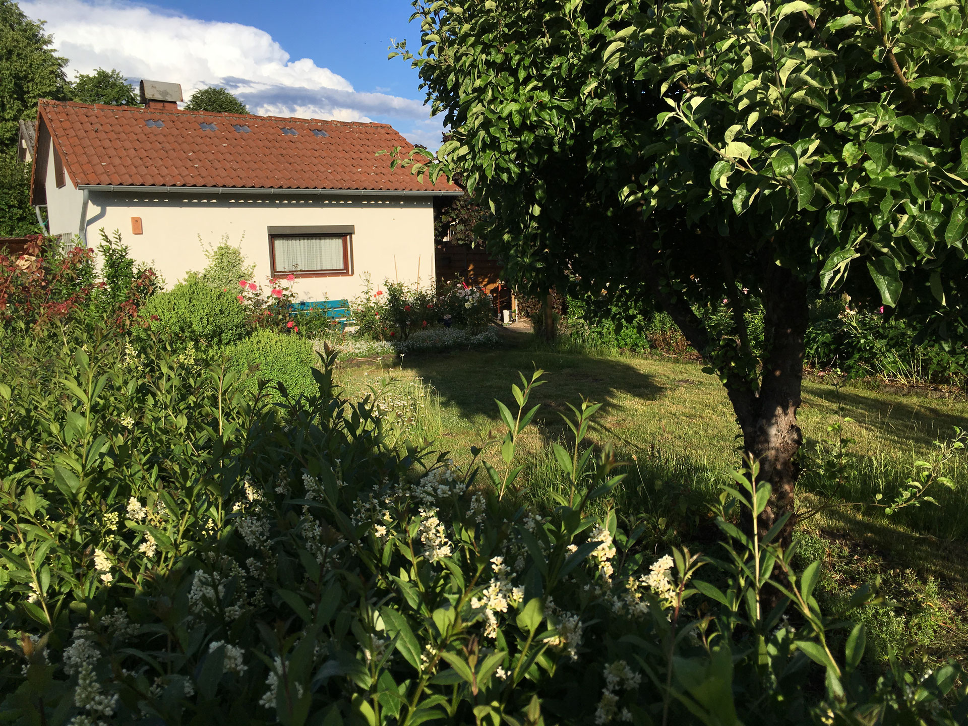 Tag der offenen Tür im NABUGarten NABU Gruppe Stadt Celle