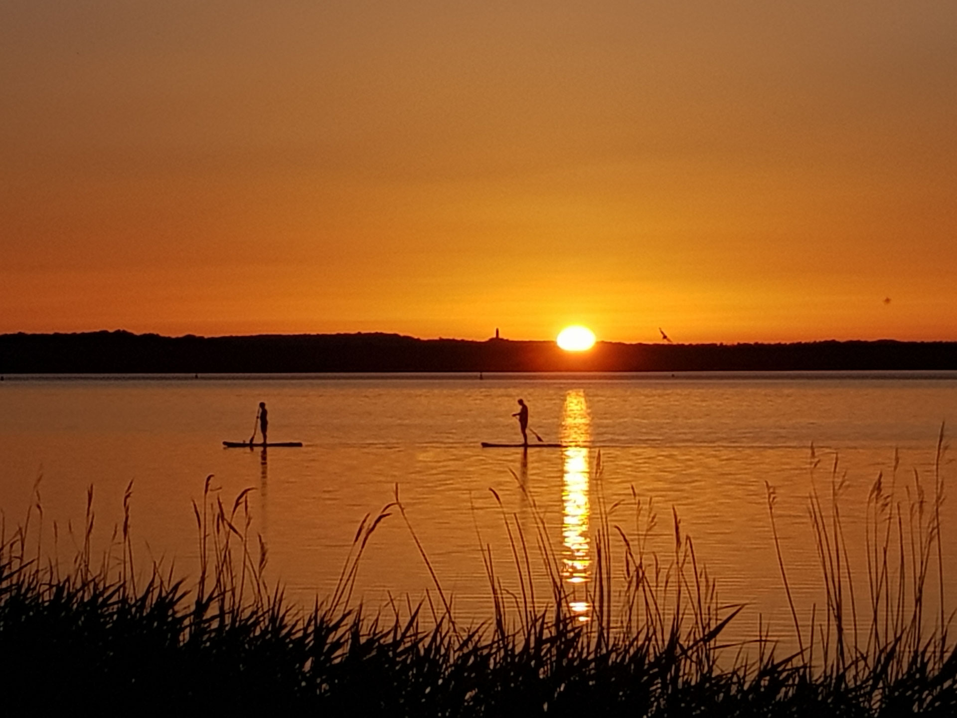 Stand Up Paddling Verleih Rügen Kitesurfschule, Kiteschule