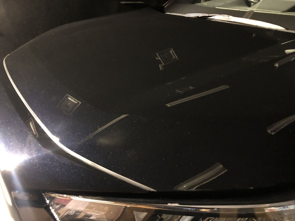 RAV4 MXAA54 オールブルーコーティング Image