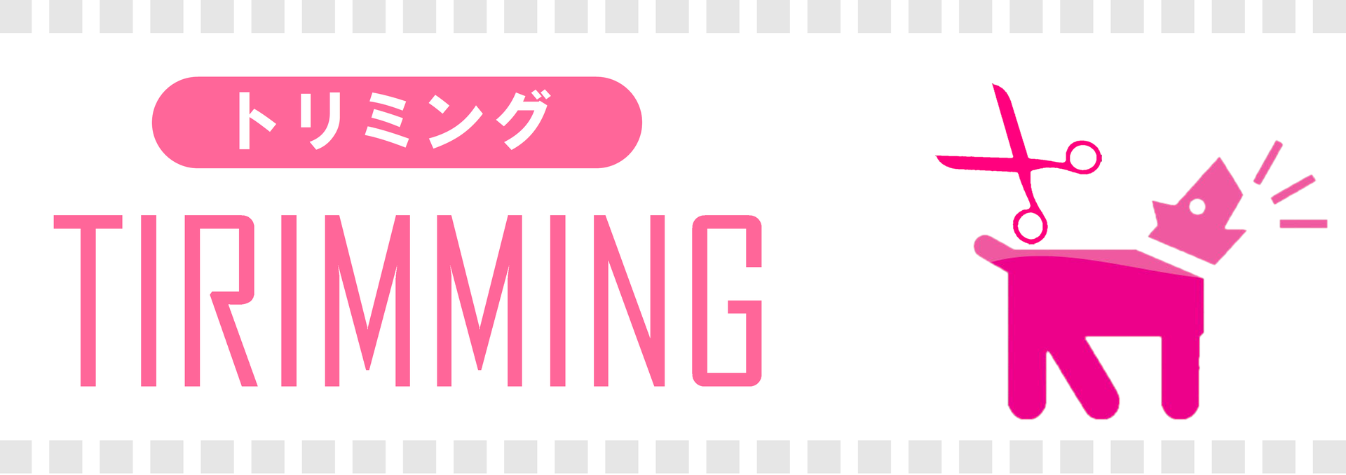 公式web ペットプラザ高槻店
