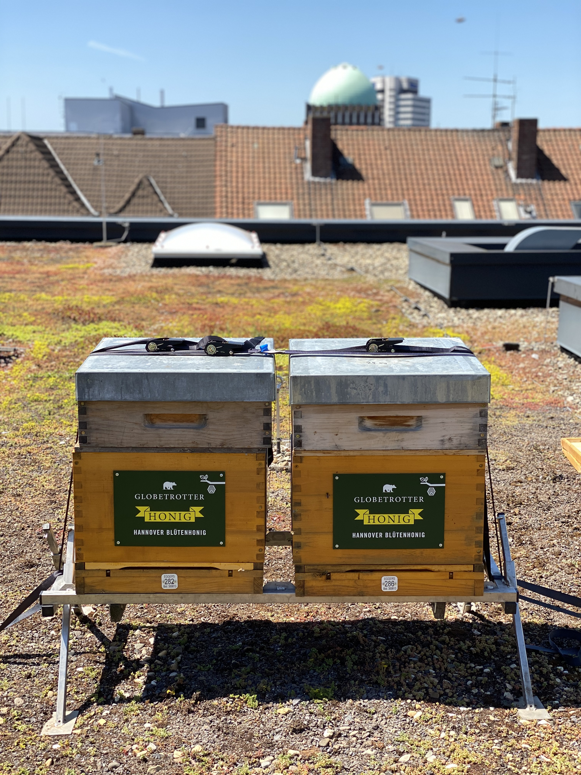 Hannover Bioland Imkerei Honigmanufaktur Eggers Hildesheim Region Hannover
