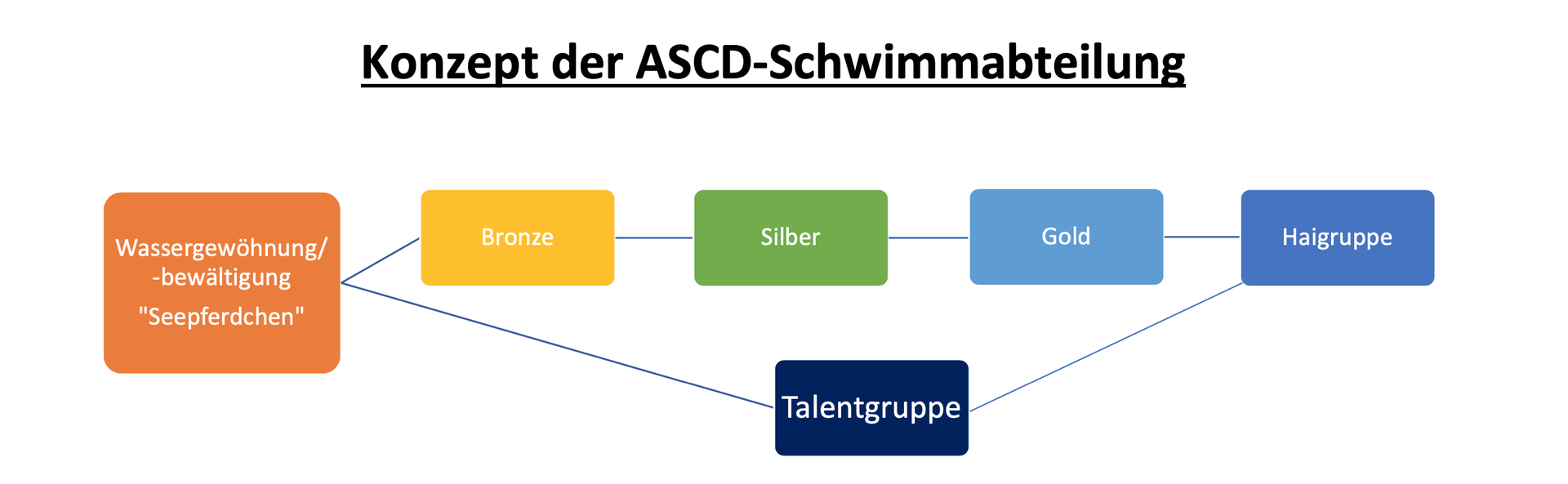 Unser Schwimm-Konzept - Amateur-Schwimm-Club Duisburg e.V.