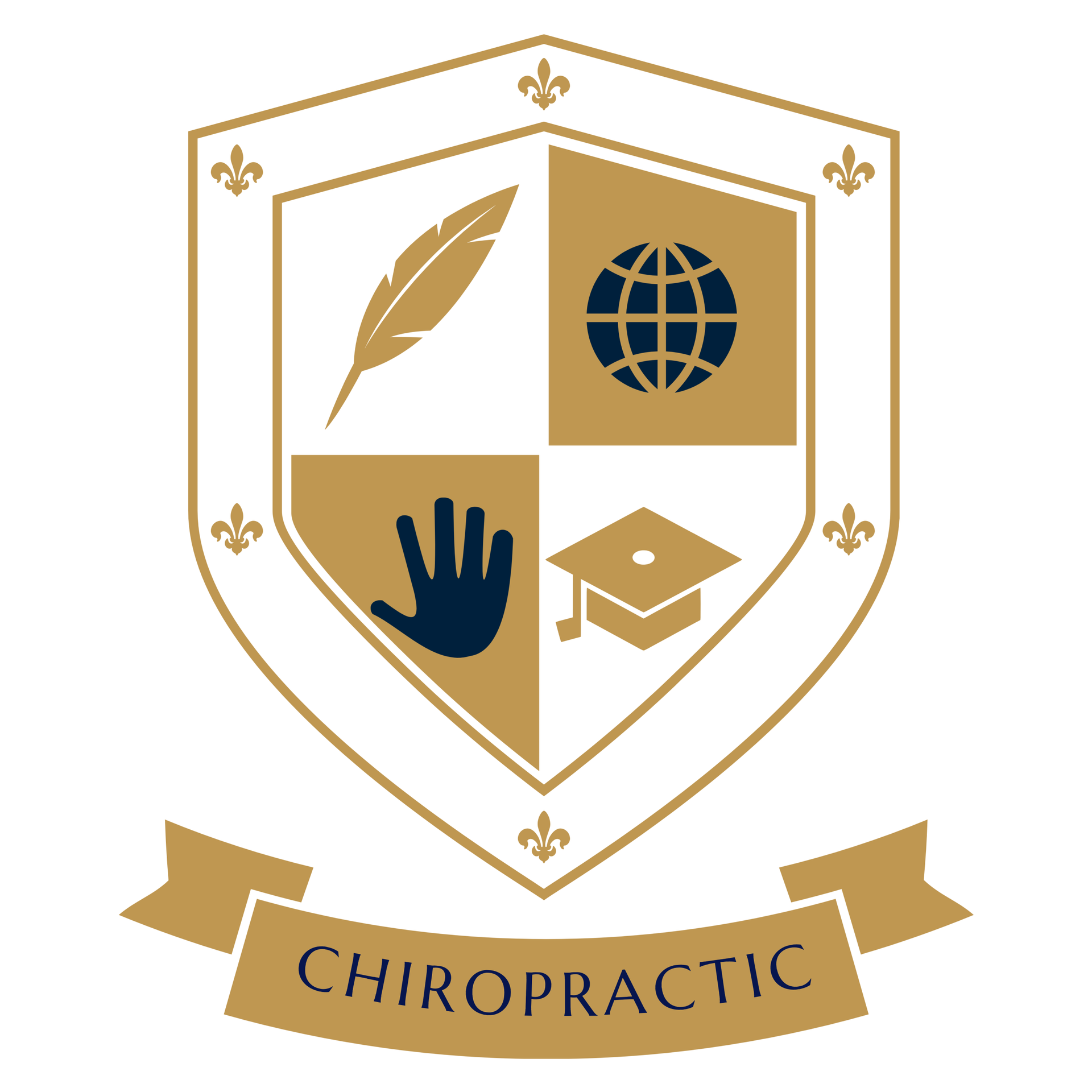 CHIROPRACTIC - PT、OT、柔道整復師、カイロプラクターの為の