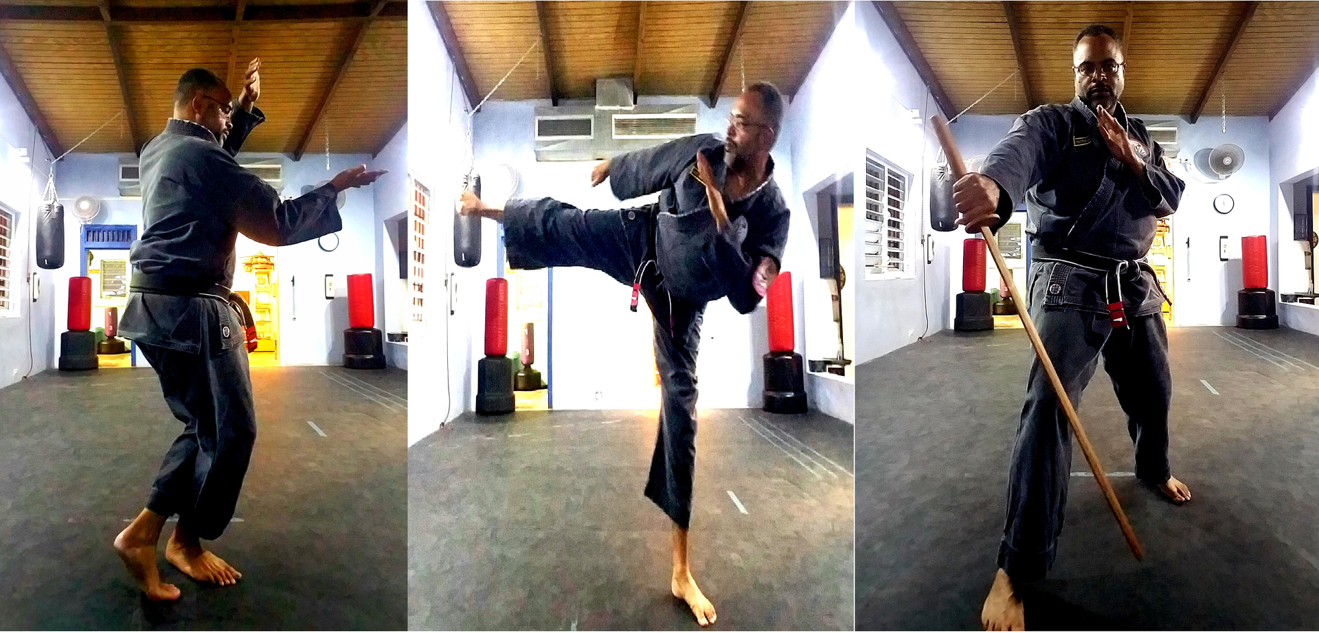 Sansei Isshinryu Karatedo Sunsu Dojo, St Croix