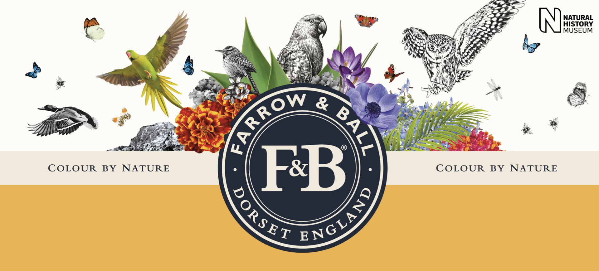 Shop Farrow&Ball Colour by Nature Sep 2019 bluff interior & colour