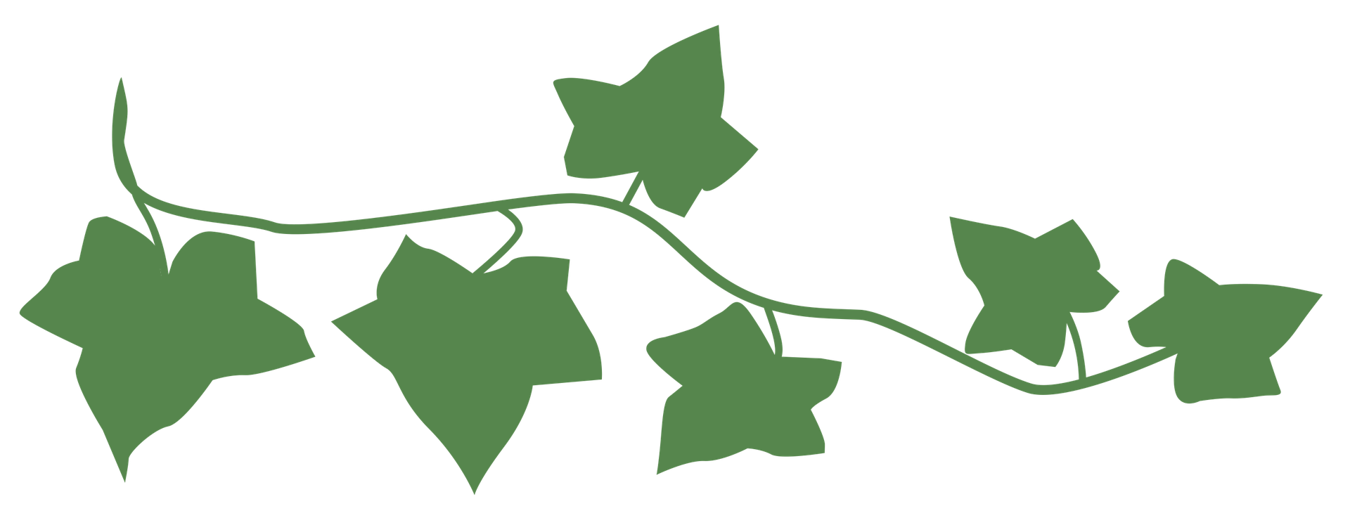 Partner und Informationen www.bestattungsinstitutamberg.de