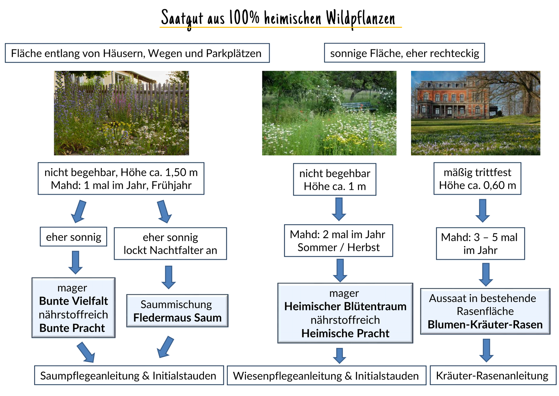 künstlicher kaktus xxl Künstliche Kaktuspflanze 70cm schnell günstig online kaufen main image 1