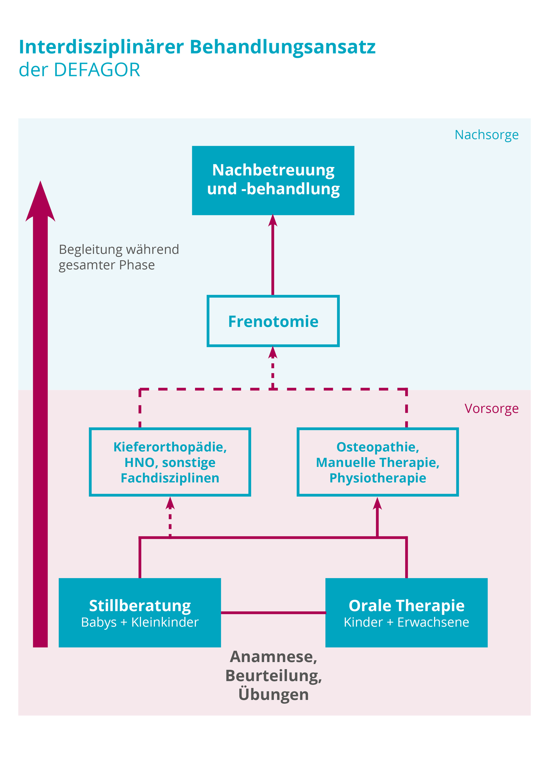 Interdisziplinärer Ansatz - DEFAGOR Fachgesellschaft für orale Restriktion