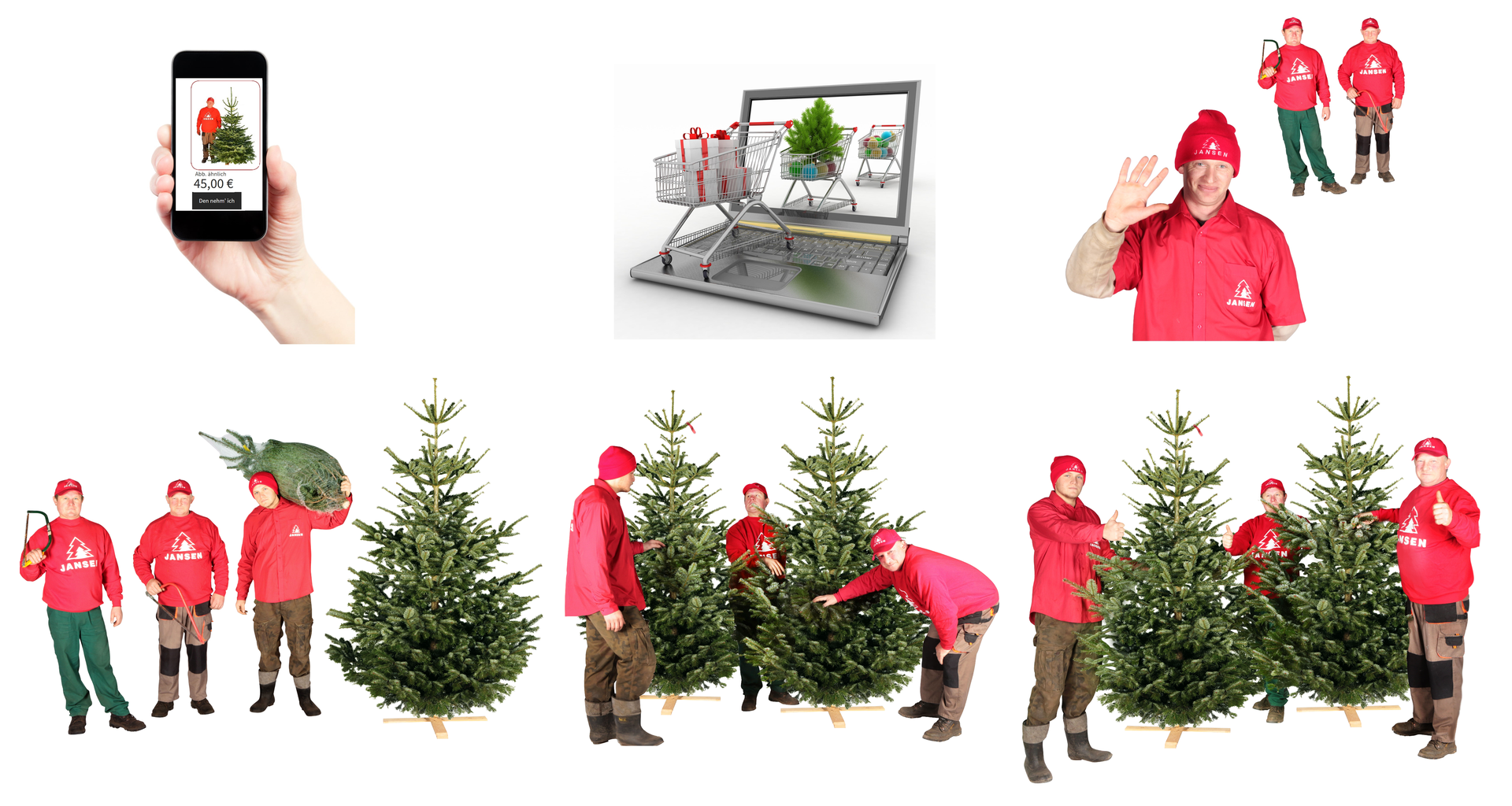 Tannenbaum Hamburg online weihnachtsbaum kaufen und zu weihnachten nach