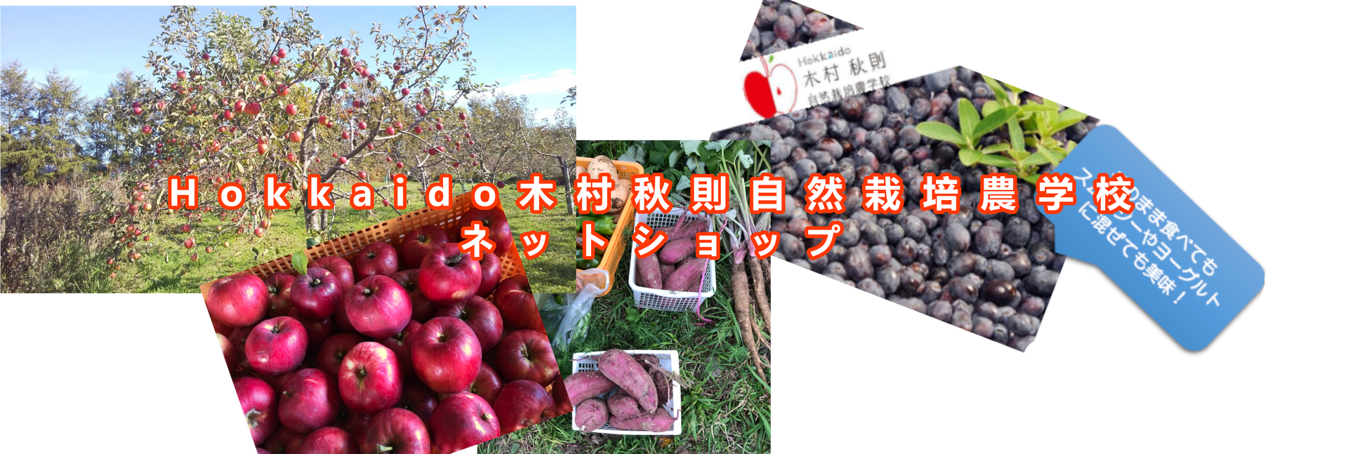 Hokkaido木村秋則自然栽培農学校 北海道仁木町