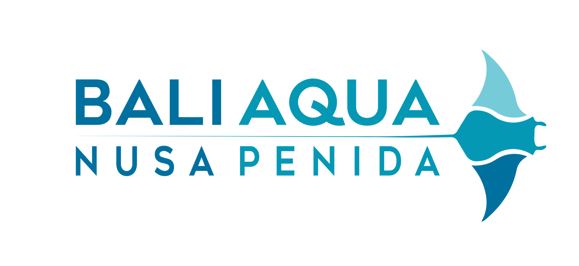 Nusa Penida Scuba Dive Center Diving Nusa penida