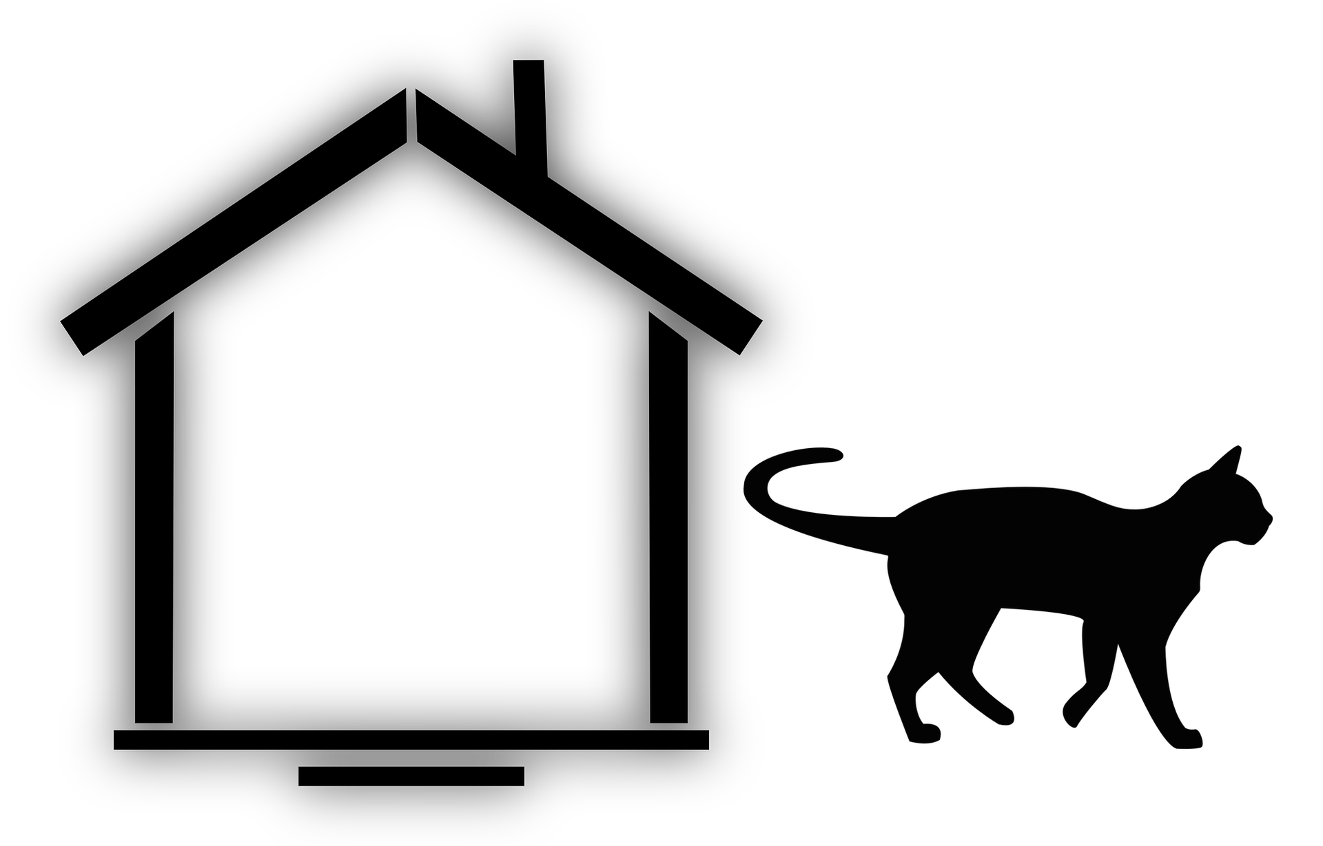 freigangerkatze vermisst tiersuchhilfe munchen tiersuche suchhunde co