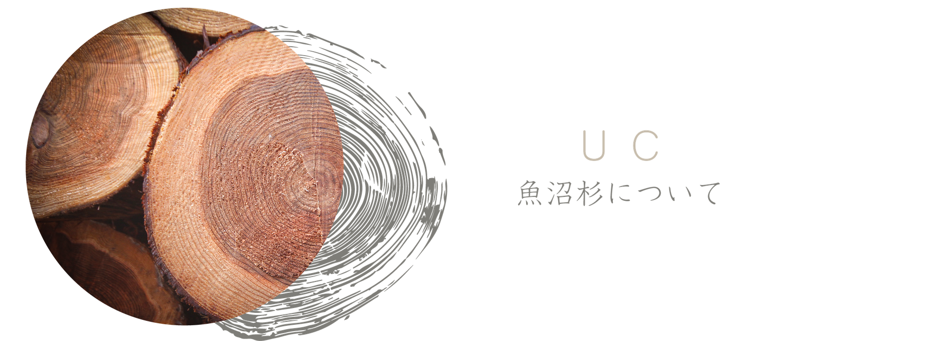 メロタン様　予約分　魚沼古 HOME - 魚沼木材協同組合