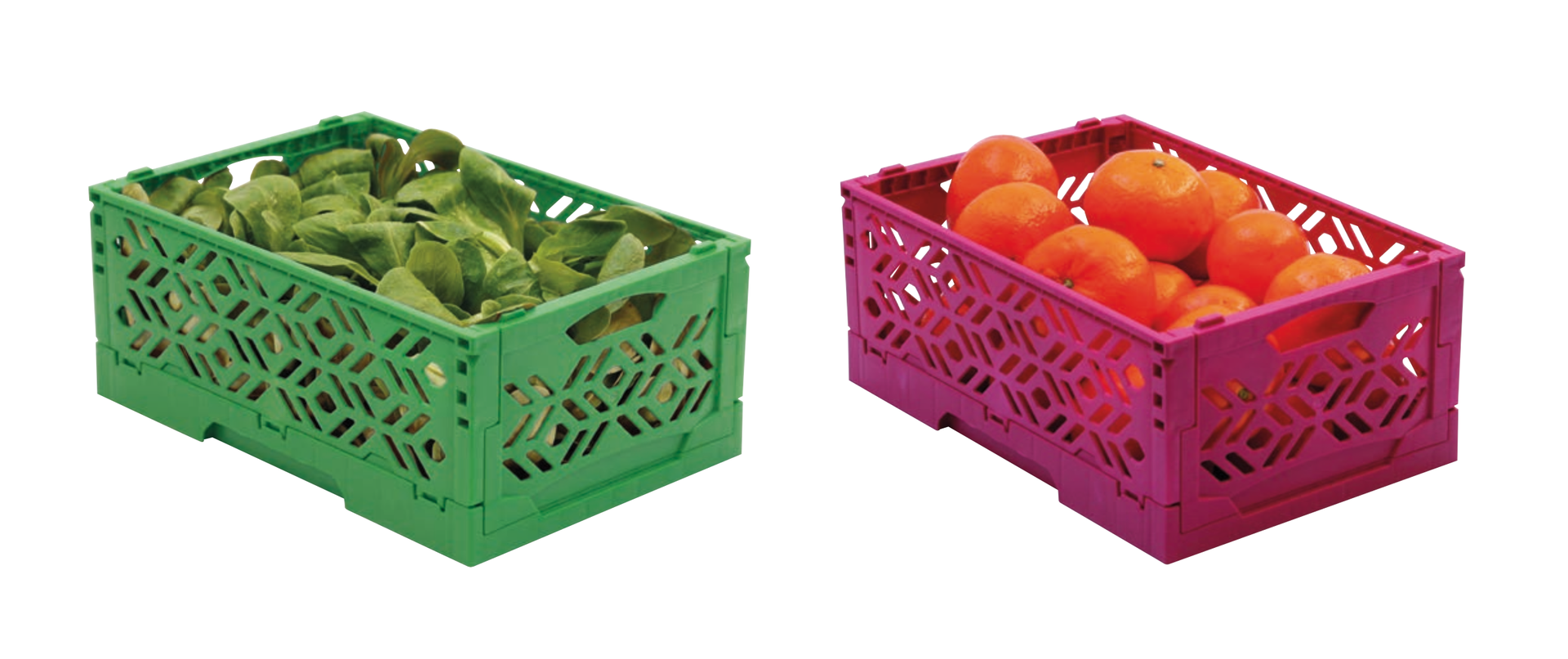 Klappbox-Mini & Midi als Obst & Gemüsekisten - surplussystems