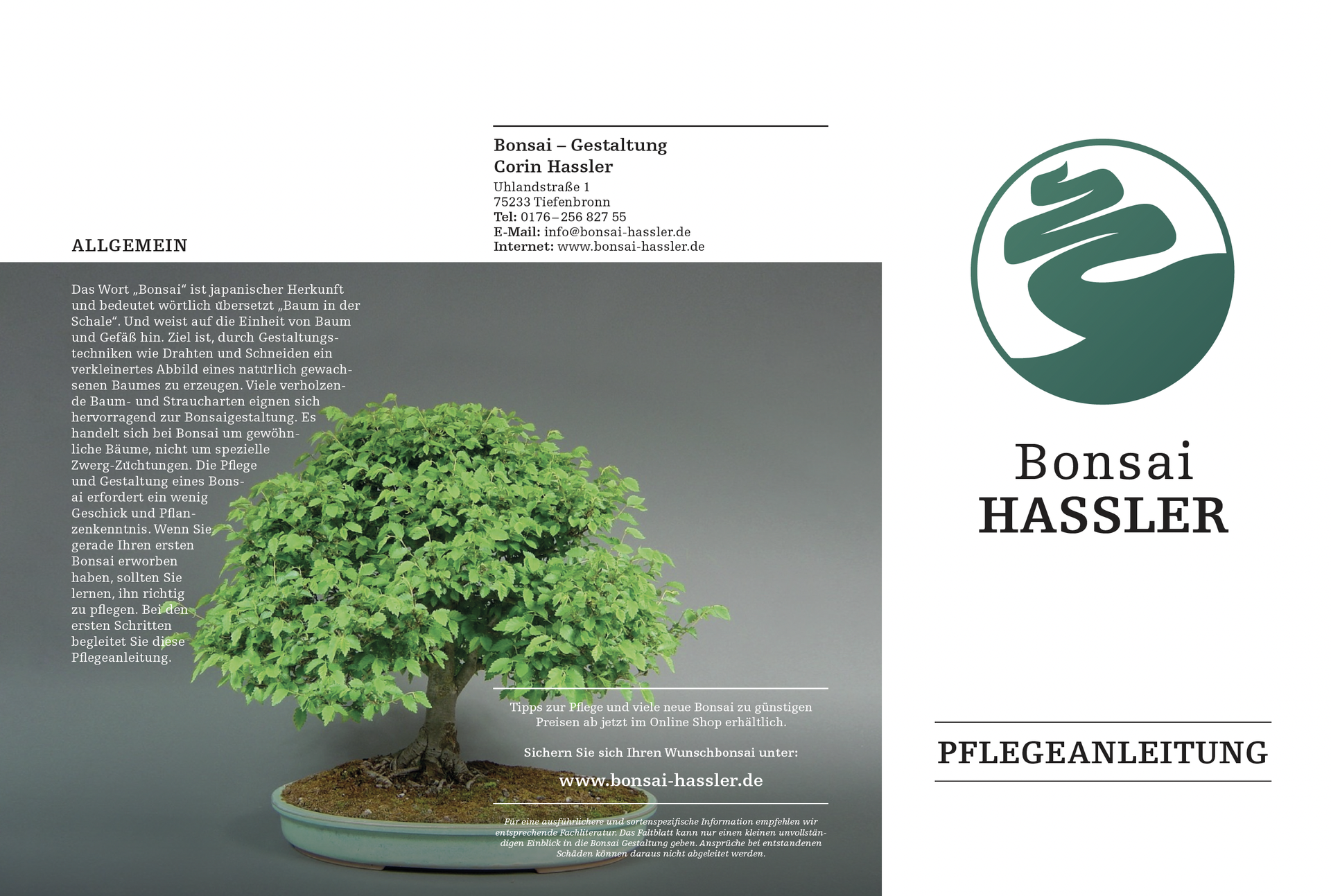 Bonsai Pflegeanleitung Bonsai Shop - www.bonsai-hassler.de