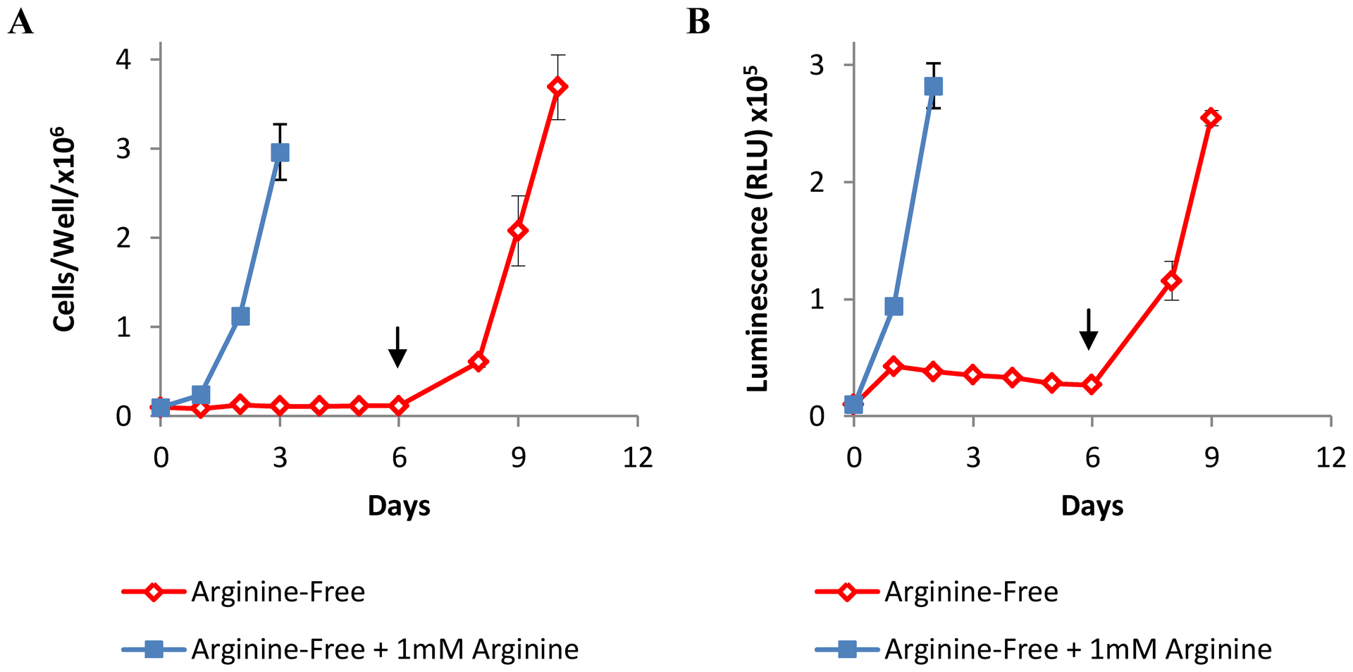 Arginase Treatment Prevents the Recovery of Canine Lymphoma and
