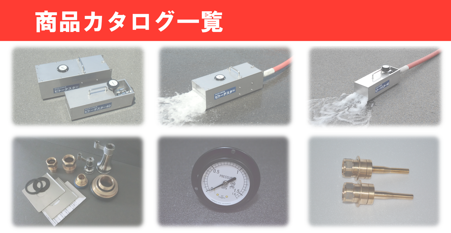 シロヤシオツツジ/大株【現品発送】管理60263 シロヤシオツツジ/大株【現品発送】管理60263