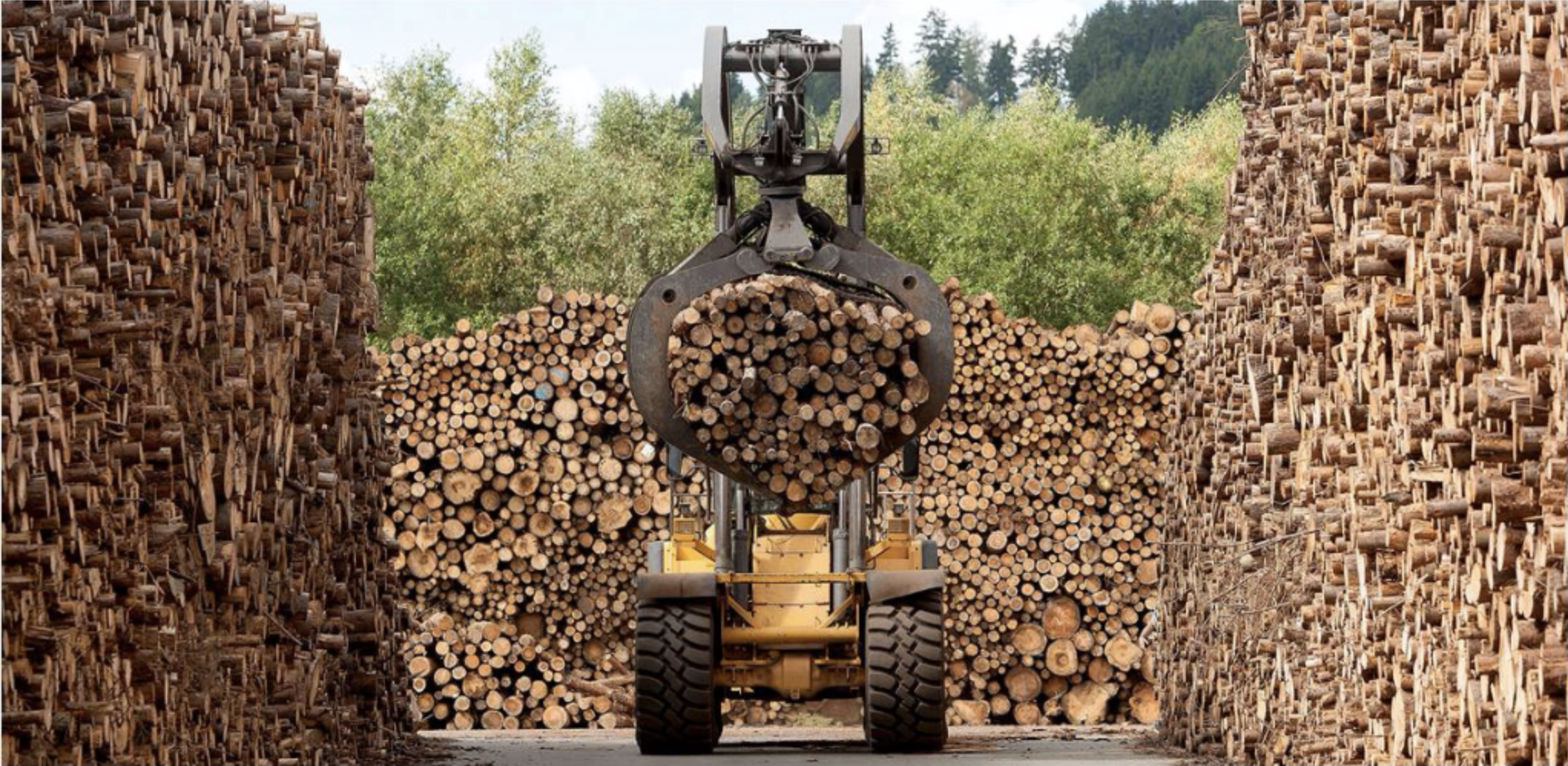 Wood Import Cooperation for Mercer and Mondi wood2m seite!