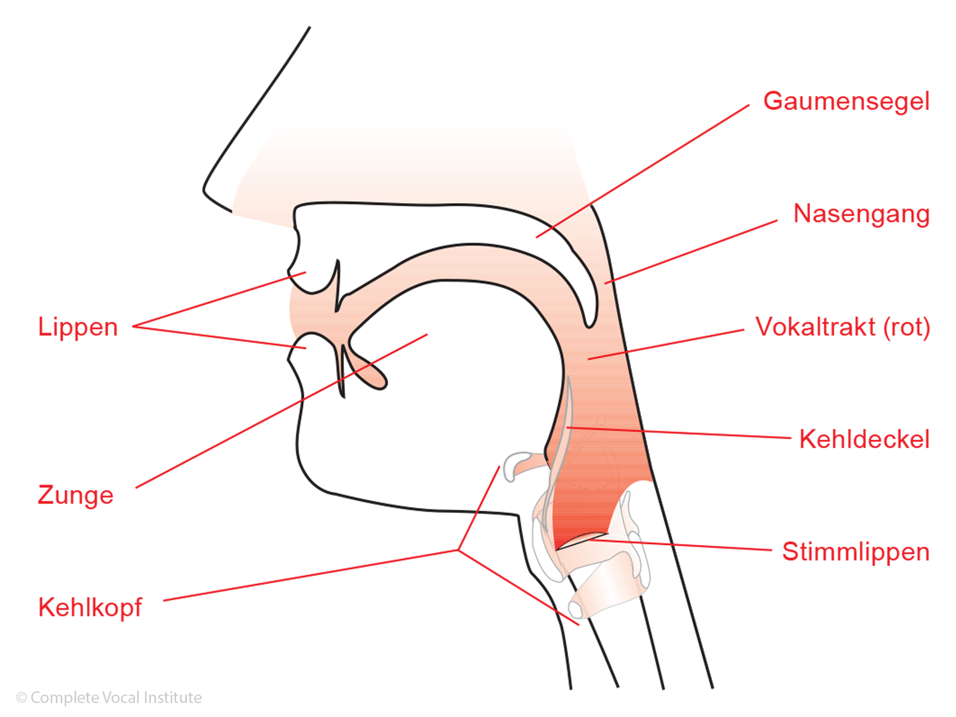 Complete Vocal TechniQue nadjajamiros Webseite!