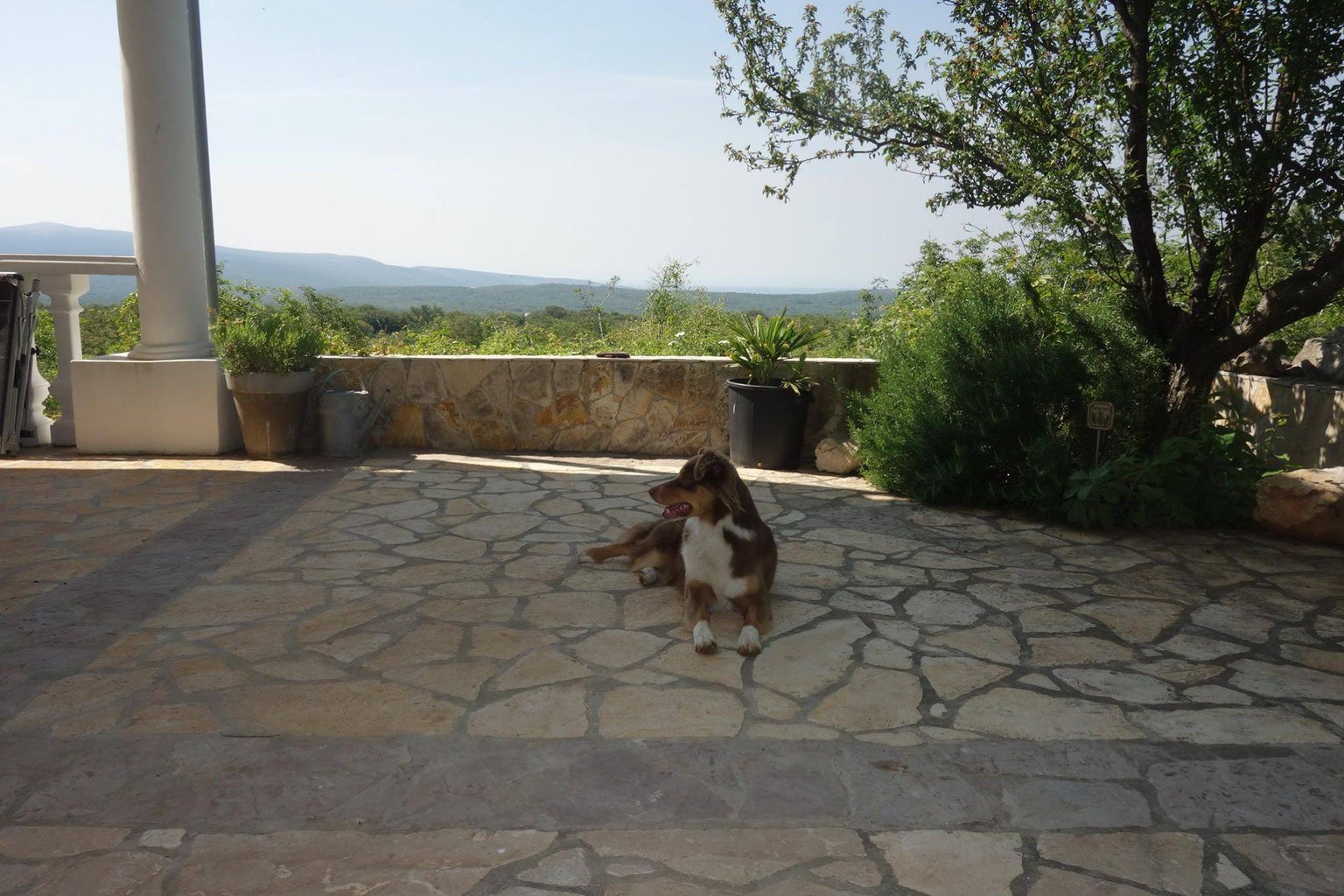 Anreise mit Hund nach Kroatien Ferienhaus mit Pool auf Insel Krk in Kroatien