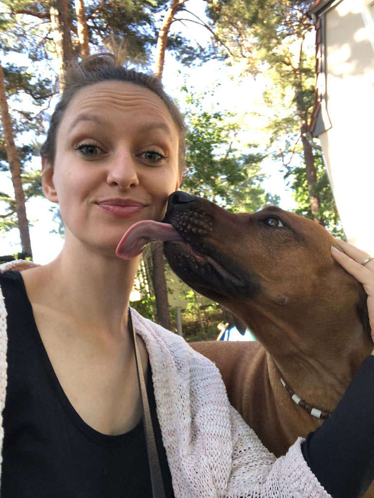 Unser Team Hund sucht Mensch Hund Tiervermittlung Tiere suchen ein