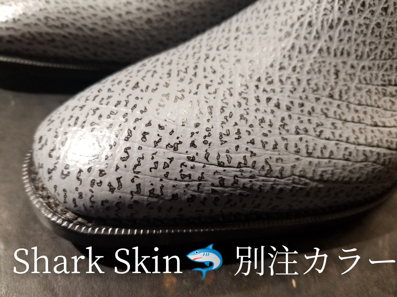 Shark Skin(サメ）別注カラー グレー もしかすると今後・・・ - BROSENT in 目黒