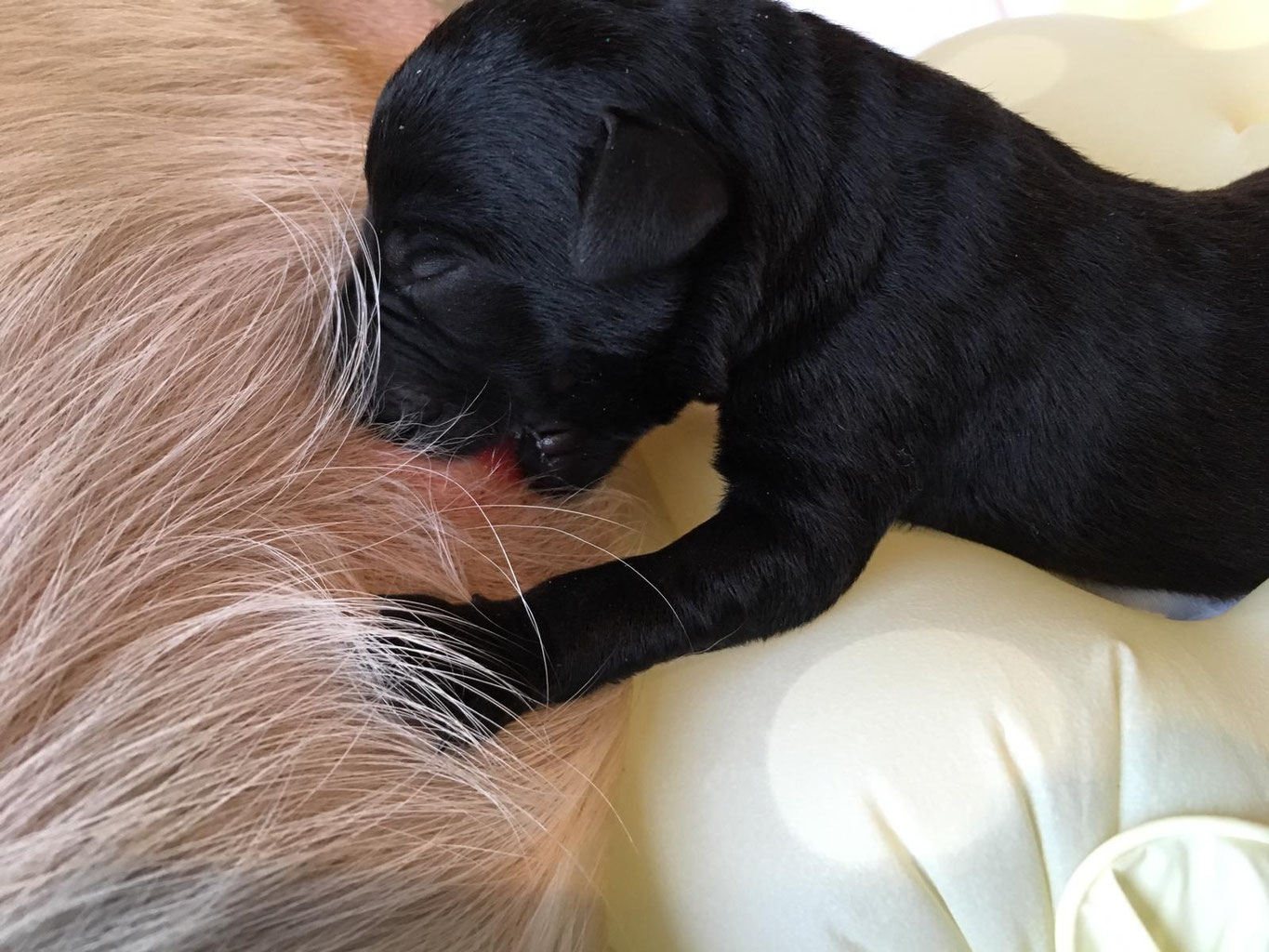 News 2018 Faithfulconnections Webseite