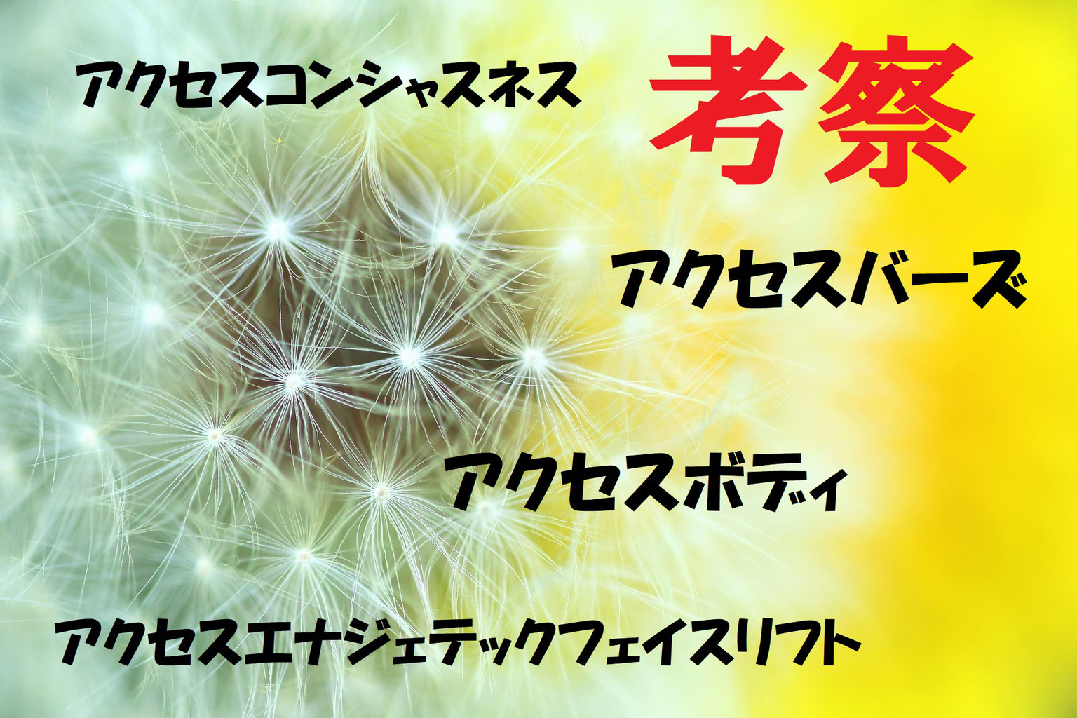 日本全国送料無料商品 特集 アクセス・バーズ アクセスコンシャスネス ボディ 趣味・スポーツ・実用