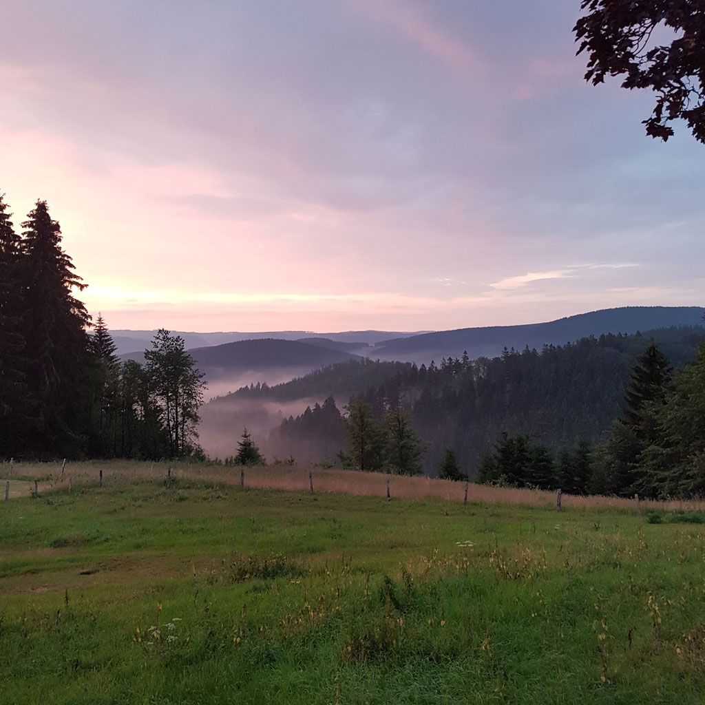 Landgasthof Restaurant Laibach Stellplatz
