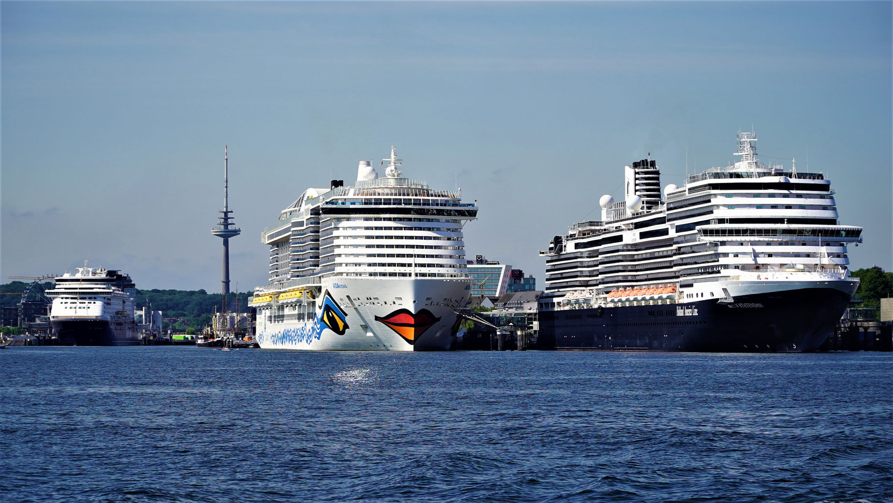 Meyer Werft Fanclub Meyer Werft Fanclub