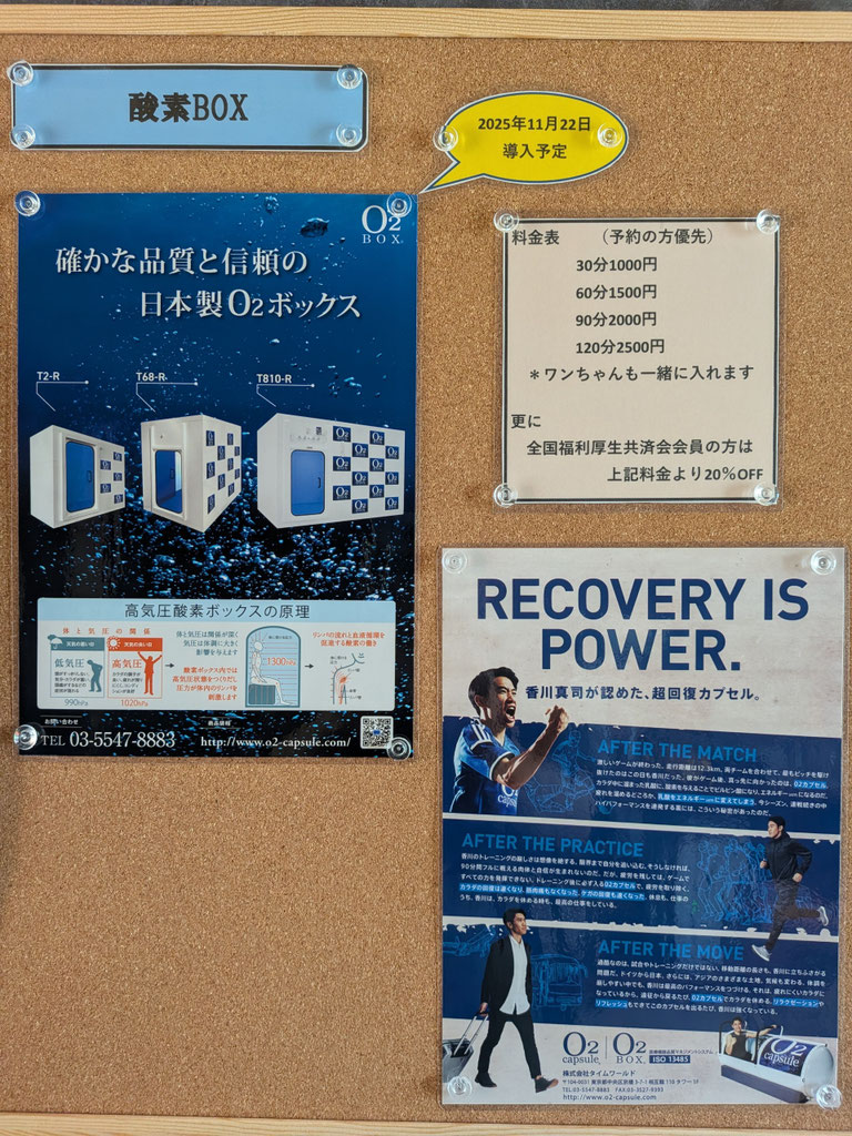 わんちゃんページ 🐶WANPIECEについて🐶 皆さん初めまして！ 犬の幼稚園WANPIECEの土佐岡