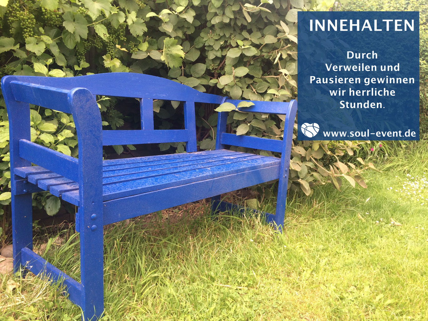 Get Weisheiten sprueche gefuehle zulassen For Free