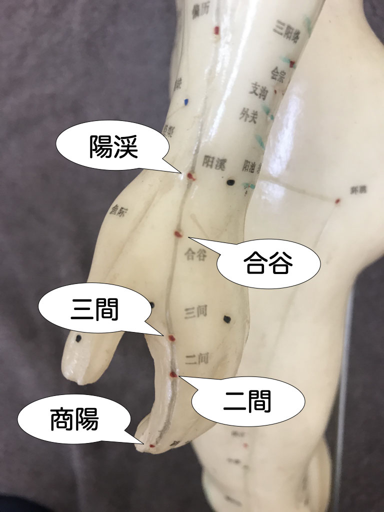 大腸に属するツボ 陽渓 山本鍼灸院 大腸に属するツボ 陽渓 山本鍼灸院