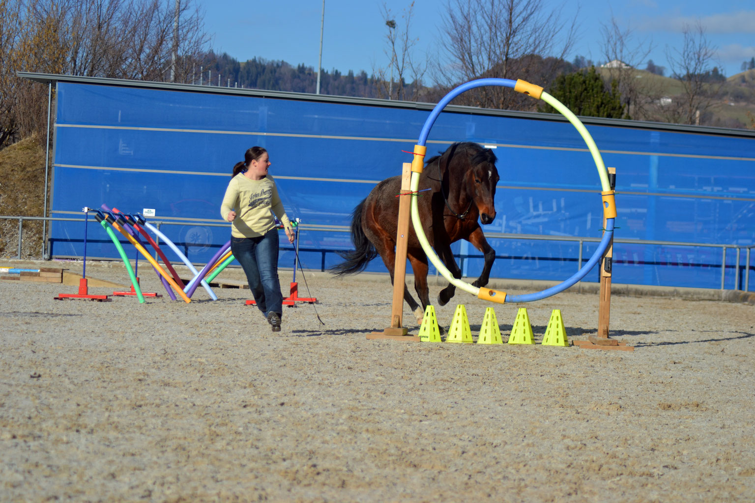 Online Seminar Horse Agility HorseBalance, Sonja Ruffieux