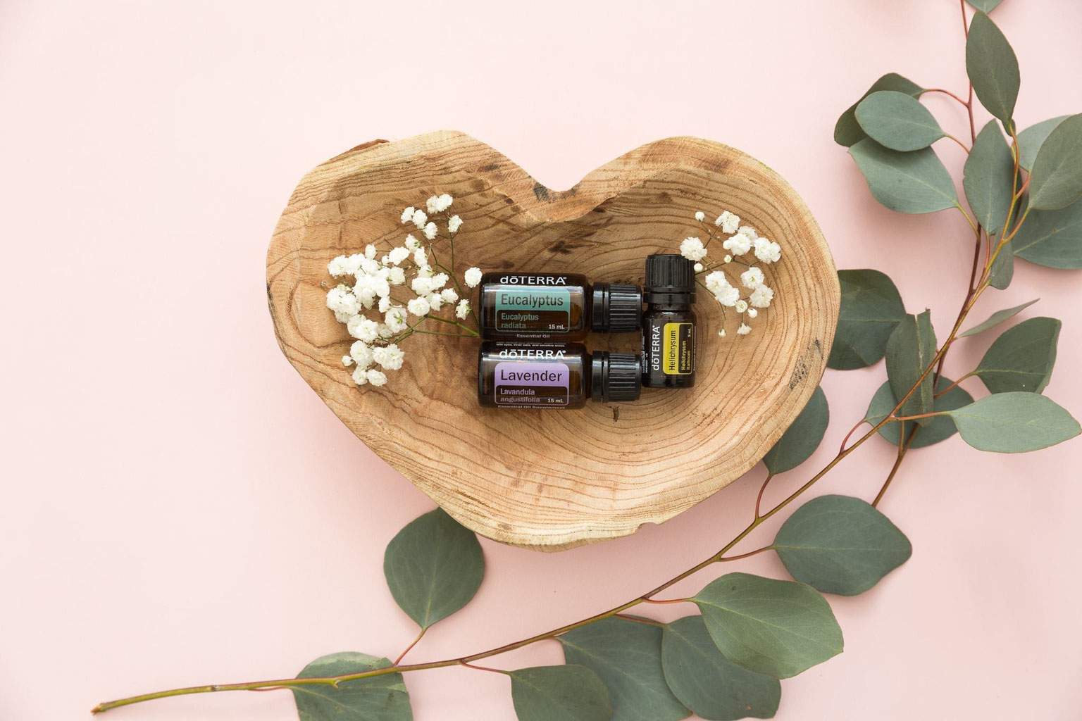 日本エッセンシャルオイルスタイリスト協会認定講座 - Cheerful care