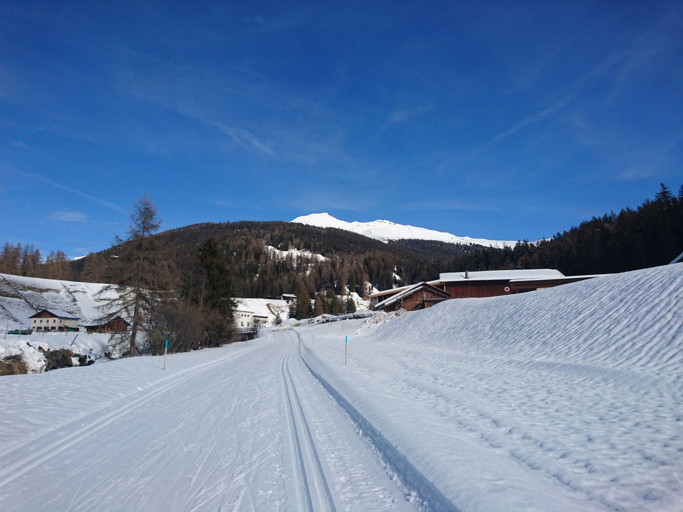 (c) Langlaufschule-stgallen.ch