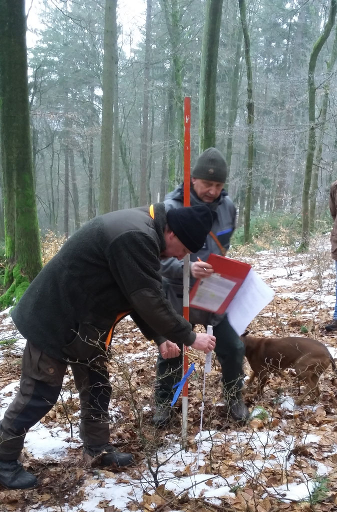 Info Zum Bayerischen Ak Monitoring Bjv Miltenberg De