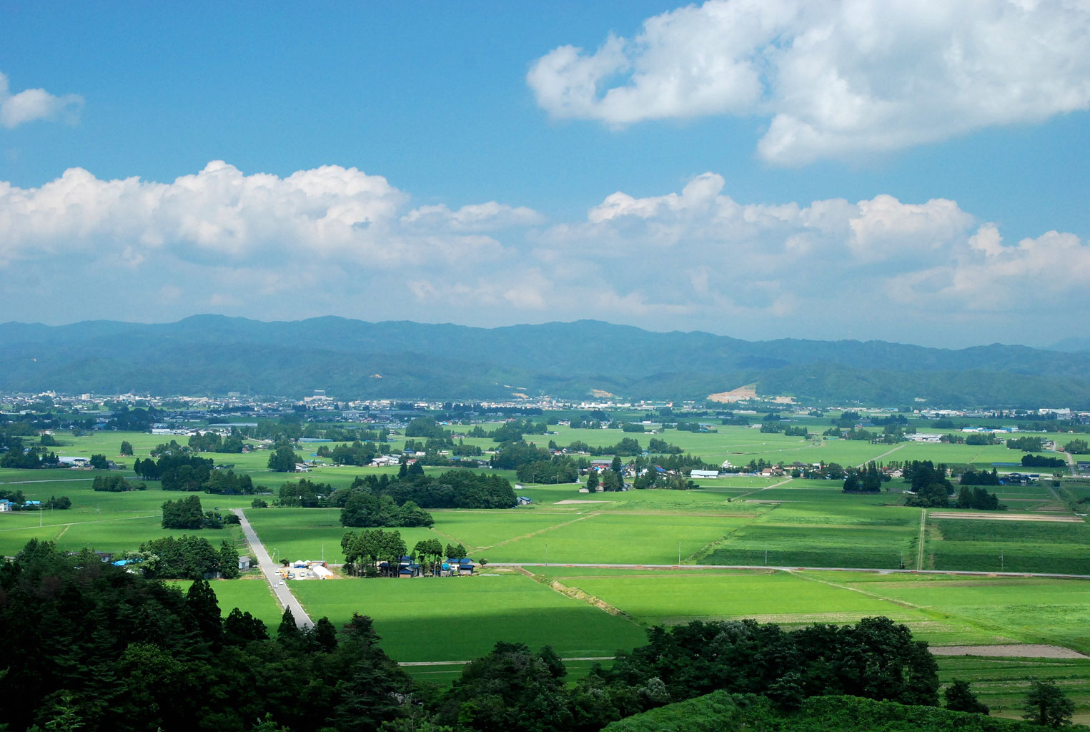 防風、防雪に備えた雪国の知恵、山形県「散居集落」の景観 日本の美しい里山を紹介するウェブサイト