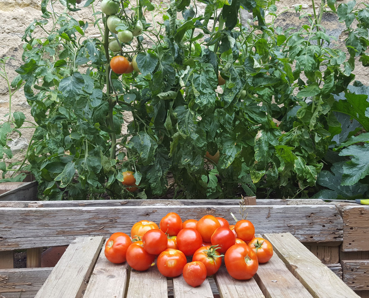 La Vie Au Gem De Montlucon Gem De Montlucon