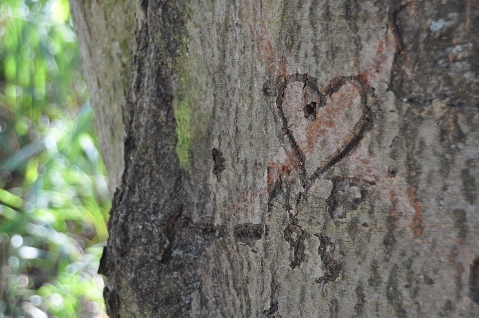 Aktuelles Mai Juni 2016 Naturerlebnisse24