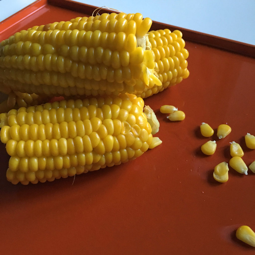 frische Maiskolben (Flashback) Rezepte rund ums Kochen im Alltag