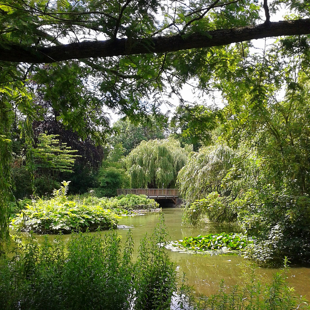 Stadtpark Steglitz Fortsetzung Berlin Der Blog über Berlin