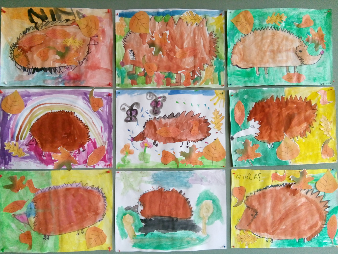 Igel im Zeichnen - fraumohrsrasselbandes Webseite!