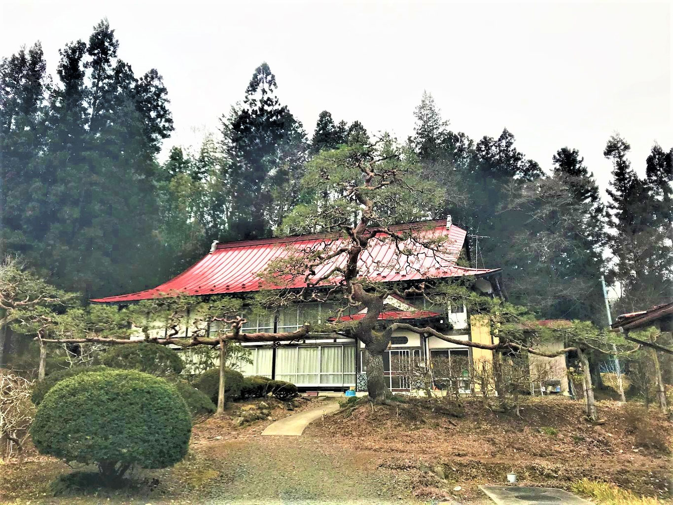 門かぶり松」の世界 - いちのせき市民活動センター, image size:1365x1024