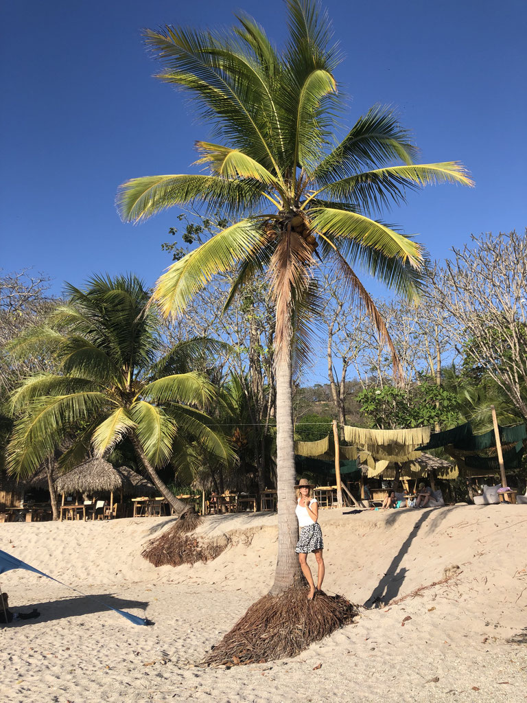 Santa Teresa, die zivilisierte Wilde - puravidafuerdreis Webseite!