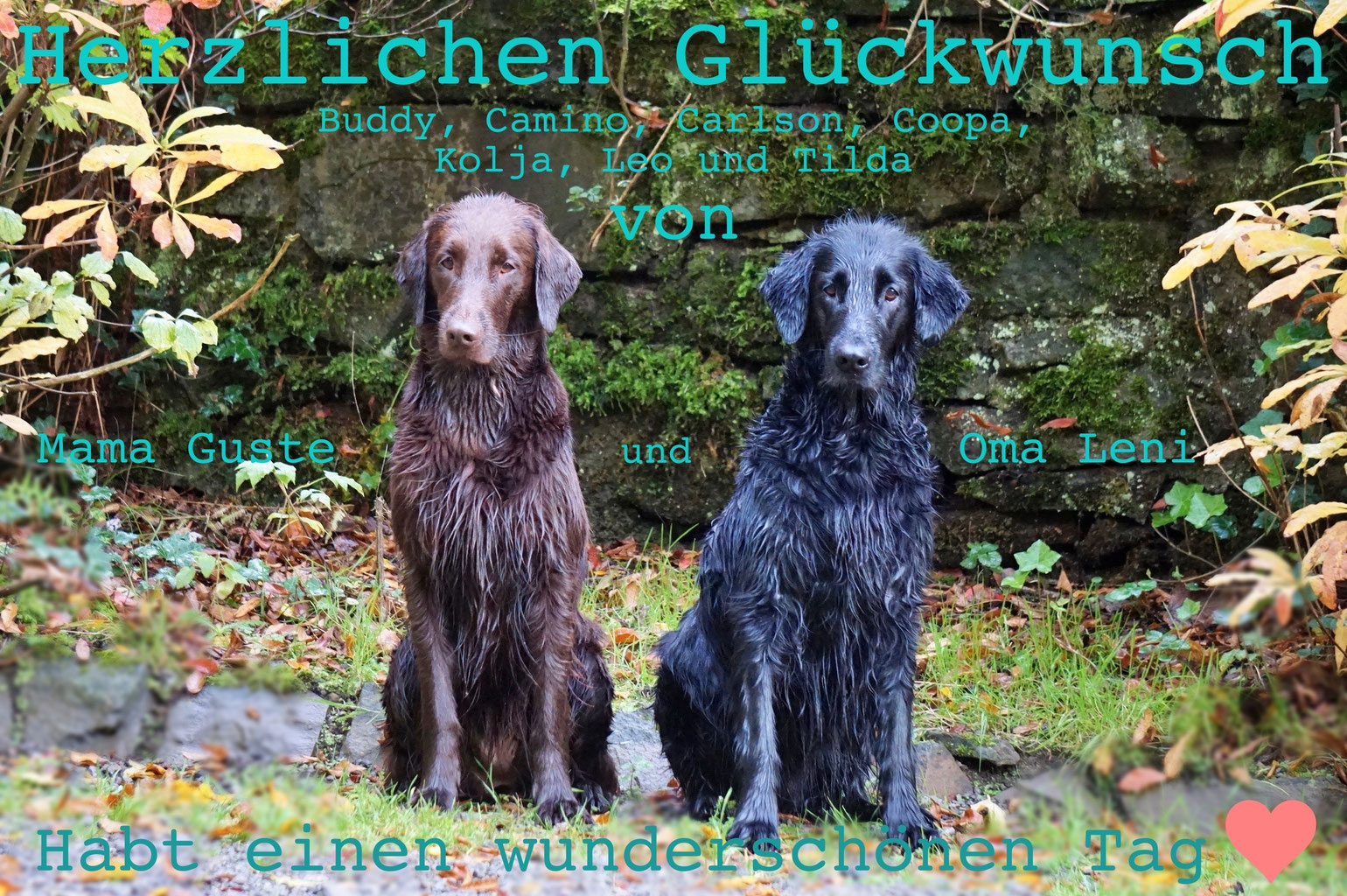 Ted Ted37333467 Twitter